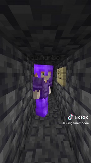 Atrapando Hacker en Minecraft: ¡Descubre Cómo lo Hice!