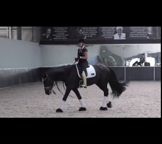 Solution for your horse bucking into canter 🙏🏼 #equestrian #dressagetips #horse