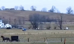 Horse and buggies and Amish transport vehicles traversing a long lane going to an Amish funeral this mild and cloudy morning. Amish funerals start at 8am in the morning, usually the third day after the death of the deceased, the first two days being reserved for viewing (calling hours). JD | AmishLeben