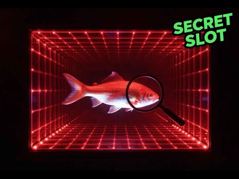 How to Add Custom Art Inside Your Infinity Mirror (The Secret Slot)