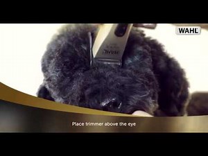 WAHL - Dog Trimming Tutorial