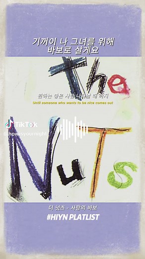 사랑의 바보 - 더 넛츠 (가사 포함)