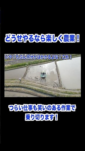 お米作り総集編 #農業 #田植え #お米作り #トラクター #コンバイン