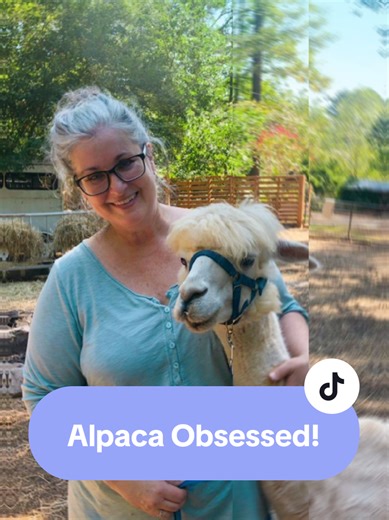 The rescue and adopted Alpacas at Your Alpaca Cottage are loved, curious, and just 20 steps from the cottage front door so you can visit them at the field gate anytime during your stay! PLUS Monday's are so much easier to handle when you spent the weekend with alpacas 🥰 Comment 'Getaway' for details about how to make your Alpaca dreams come true! ✨ #YourAlpacaCottage #AlpacaSanctuary #Alpaca #Airbnb #AlpacasInclusionActivism
