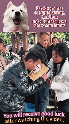 The funniest moments compilation #viral spread