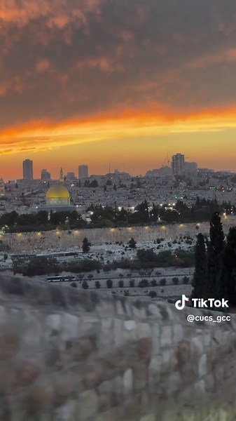 فلسطين موطني ……..🇵🇸 Palestine. #فلسطين🇵🇸 #القدس_لنا🇵🇸🕌 #القدس_عاصمة_فلسطين_الأبدية #اكسبلور #غزة