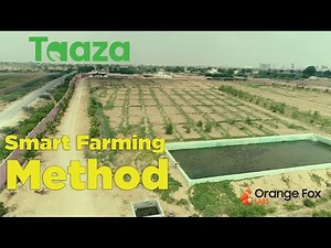 PRECISION Agriculture Technology | MODERN FARMING in Pakistan | Taaza