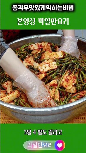 알타리김치 👍총각무김치 맛있게 담그는 방법 시청하면 똥손도 금손 됩니다 #cooking #food #김치 #영양식 #고추장 #koreanfood #delicious