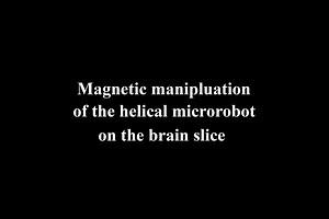 [Video] Manipulation of the helical and spherical microrobots