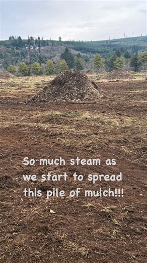 New farm update: We have been busy clearing the debris and roots left when the Holly trees were removed. It is a slow process. Today we finally got to the place were we could spread one of the mulch piles left after the tree removal. #farming #newfarm #tractor | Blackberry Bog Farm