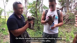 7.3K views · 473 reactions | We did so much to protect animals this...