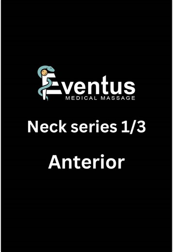 Neck series part one: Anterior. Stretching the anterior neck muscles is essential for relieving tension and improving posture. Focus on these key muscles: Sternocleidomastoid (SCM): This muscle plays a significant role in head rotation and flexion. Also trigger points in the SCM are responsible for issues often mistaken for migraines, and also can contribute to tinnitus. Tightness in the SCM can contribute to tension headaches, as it often pulls on the head and neck, causing discomfort. Stretchi