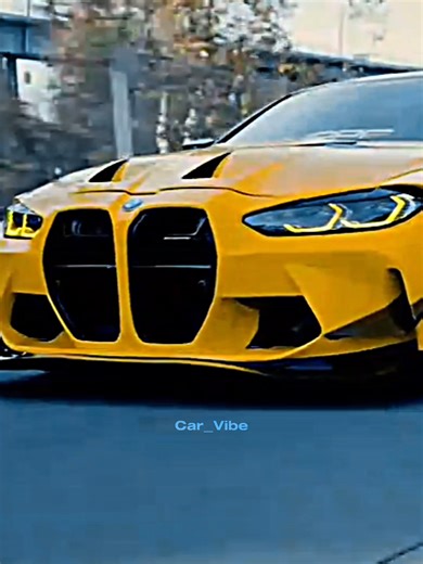 Stunning 4K Video Showcase by The Pro Video Inc