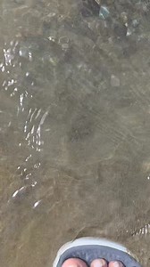 3.5K views · 80 reactions | Finding Nemo! Quintinians Editionl!藍 Bunooogggg☝️ | Dipalo Eco Park | Facebook