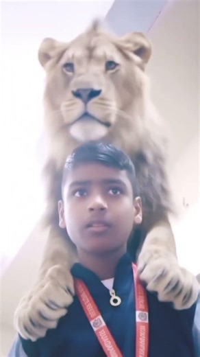 🔥🔥🔥🔥🔥🔥🔥