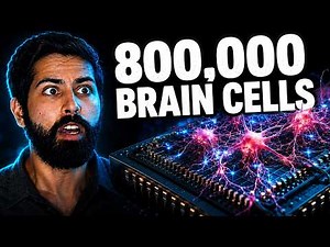Biological Computers Are Real Now. I Tried One