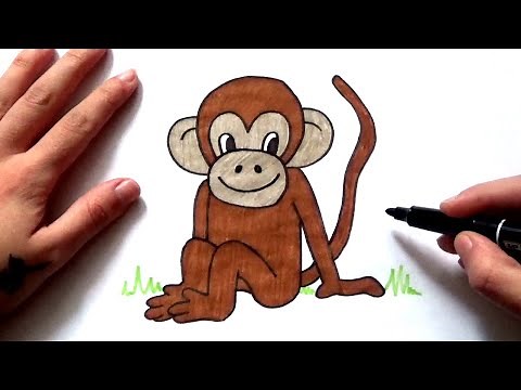 How to draw a monkey easily, step by step. - Drawing a Monkey