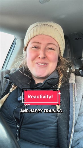 Calm Canines: Effective Dog Desensitization Techniques