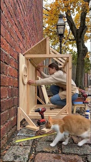 Building a Cozy Cat House from Scratch! 🐱🏠 #diy