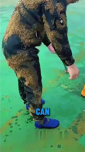 #cortos
