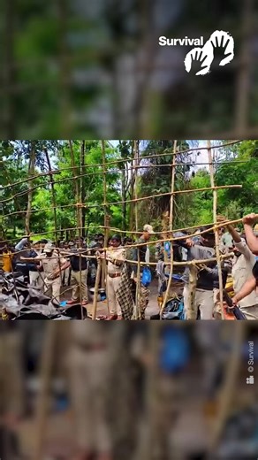 🚨 Indian police raid Jenu Kuruba village 🚨 Over 250 forest guards and police have destroyed Indigenous houses in a village inside Nagarhole Tiger Reserve, reclaimed by the Jenu Kuruba. Seven homes where women, children and elders were staying have been torn down. The Jenu Kuruba were evicted over 40 years ago and they returned to reclaim what is rightfully theirs. This is what “conservation” looks like for Indigenous peoples. You can help stop this: Send an email to the authorities: svlint.org