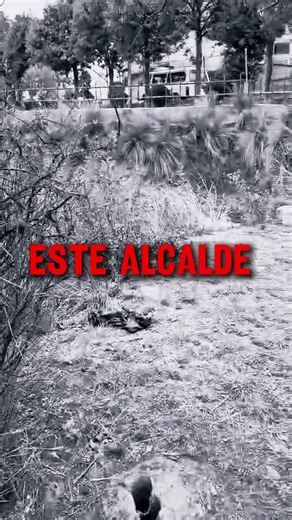 parques para las familias para que puedan salir a desfrutar sin miedo a nada,con JHONNY PLATA se va a cumplir, vamos mi gente linda apoyemos al compadre este 22 de marzo #