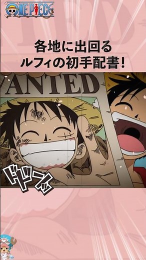 各地に出回るルフィの初手配書！#onepiece #ワンピース #アニメ #雑学