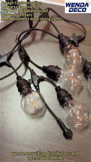 1900K filament drop string lights