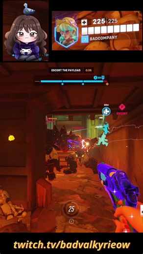 Raiding the Back Line with D.Va in Overwatch 2