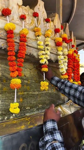 देव माझा बाळूमामा 🙏🥹 #balumamabhakt#explore#explorepage#foryou#foolow_me#आदमापुर#insta#balumama#song