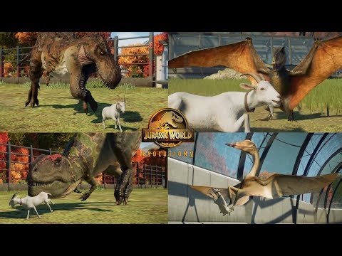 ALL GOAT HUNTING ANIMATIONS IN JURASSIC WORLD EVOLUTION 2