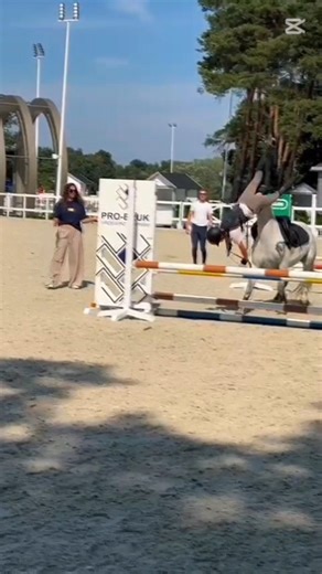 3/60🙋‍♀️😻😻 #dlaciebie #horse #wybijsię #equestrian #jumping #pony #horsejumping #shorts #shortvideo