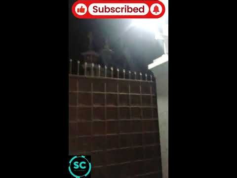 Sami Clips Live Stream