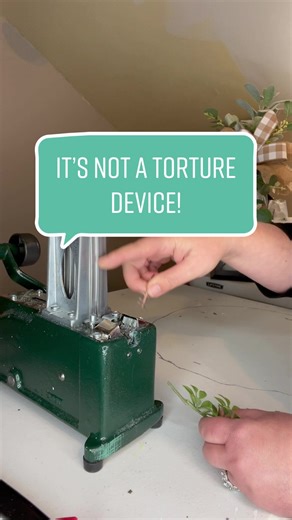 Mastering the Art of Floral Stemming: Tips and Techniques