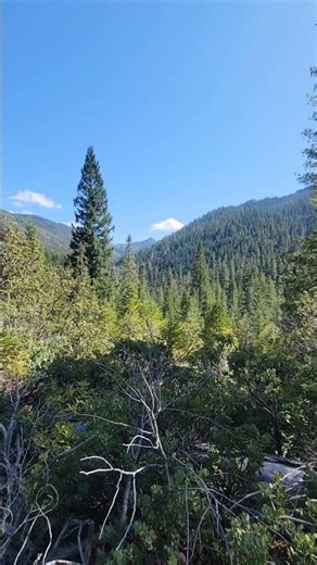 Setting up game cameras near Broken Rib Mtn April 30th 2026