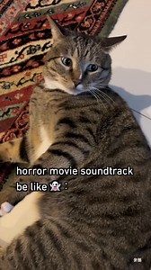 2.1M views · 67K reactions | theremeow music #horrormovies #9gag #reels #theremin | 9GAG | Facebook