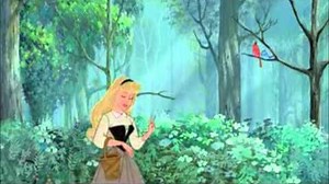 Princess Aurora Enchanted Tales Preview