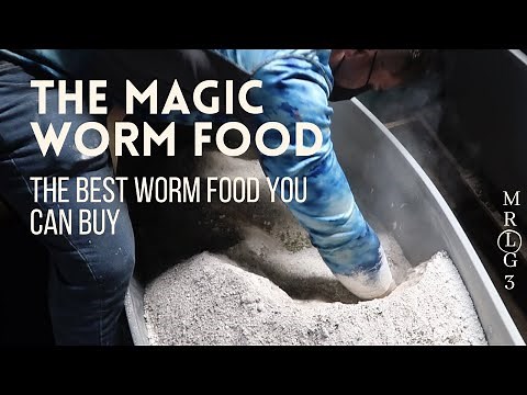 How to make premium casting, by using this magic worm food