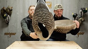 Great looking, lightweight, and stackable honker shell. Watch and learn. Link below in comments. | Rogers Sporting Goods