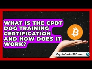 What Is the CPDT Dog Training Certification and How Does It Work? | Animal Care Jobs