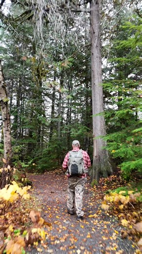 Exploring around the Nass valley ladt week, nice litte place to checkout here called vetter falls #pacificnorthwest #bcisbeautiful #explorebc #outdoors #nature #bcexplorer #autumnbcn🍂🍁 #autumn #nassvalley | Gregory Deboo