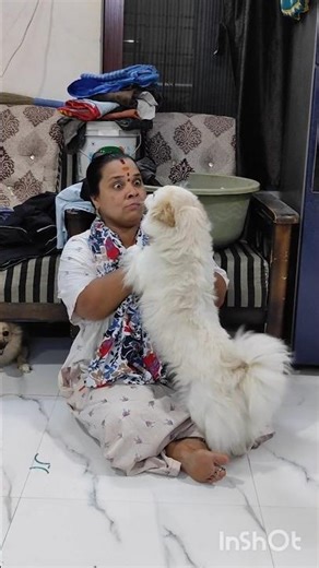 #puppylove #sharadha #pets #dogs #trending #howt #medaram #viral #entertainment #funny #comedy #vlog