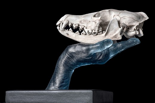 Want a Fresh Grasp of Pâte de Verre? Non-Traditional Pâte de Verre with Evelyn Gottschall Baker Now is your chance. Learn Evelyn Gottschall Baker's innovative techniques for creating wonderfully organic glass castings in this live online class. During class, you'll make three objects from Gottschall Baker's catalog of work: a pepper, a branch, and a bone. After that? You name it. Class includes: Long-term access to a long-format, comprehensive instructional video A Class Guide packed with a weal