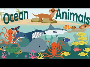 Learn About Ocean Animals - Names, Sounds and More of Sea Animals