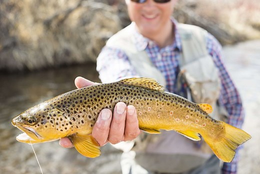 Colorado Fishing Report for Vail, Beaver Creek and Roaring Fork valleys.