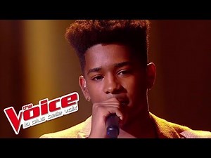 Lisandro Cuxi - « L'Envie d'aimer » (Les 10 Commandements) | The Voice 2017 | Live