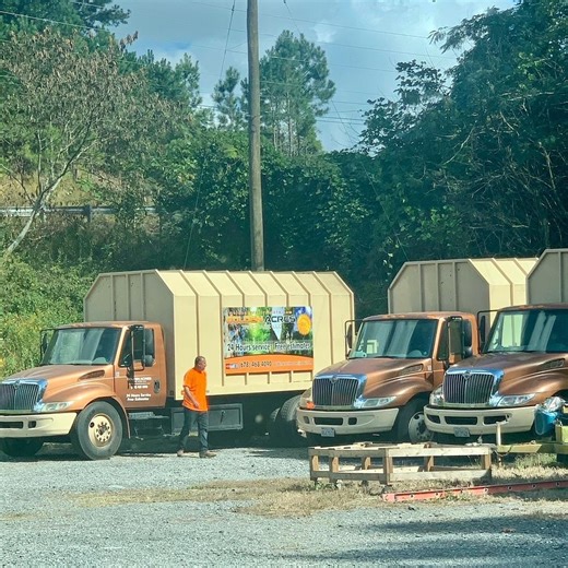 Golden Acres Tree Care LLC | Roswell GA