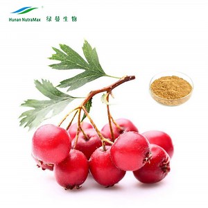 [Hot Item] 100% Organic Hawthorn Berry Extract with 2% Vitexins, 2% Flavones