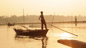 Who Will Save the River Dolphin
