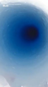 12K views · 34 reactions | It sounded like a cartoon  | Daily Mail Video | Facebook